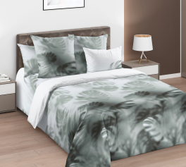 Силуэты света 1