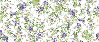 Ваф. полотно 150 Дарья- колорит 1.jpg